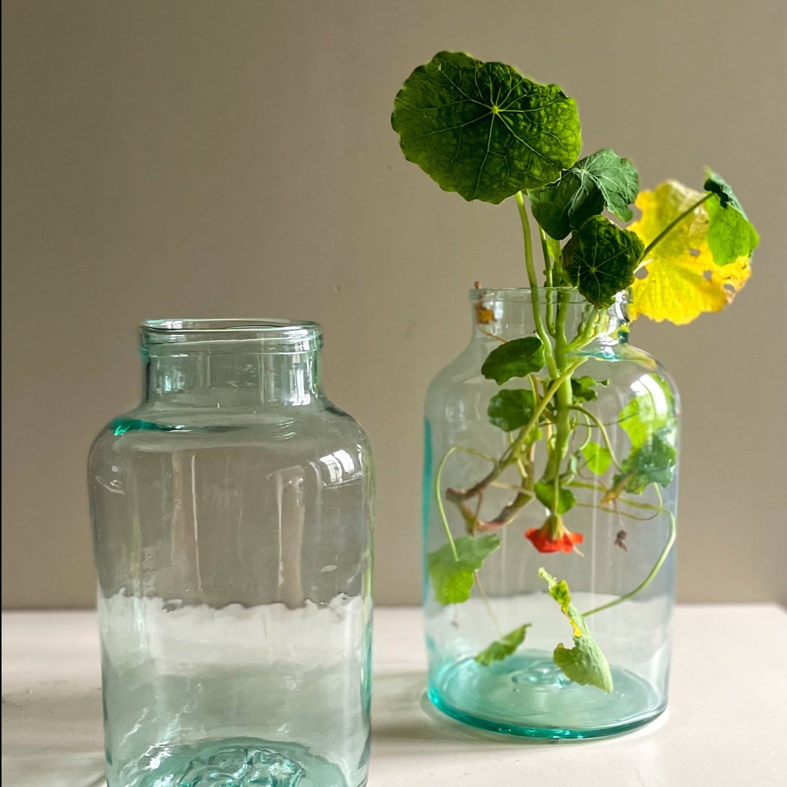 Hungarian Preserving Jars